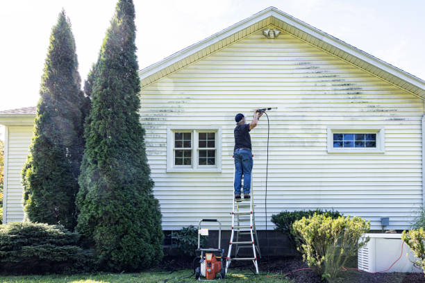 Trusted Cedar Springs, MI Pressure Washing Services Experts